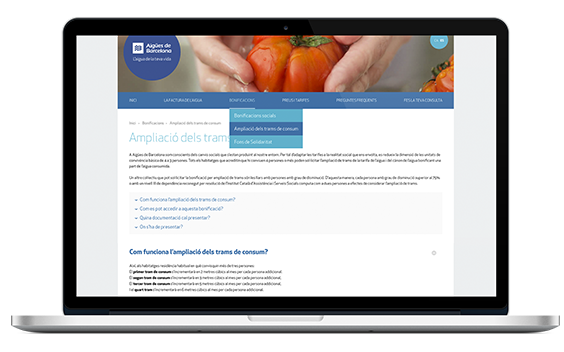 Web Factura de l'aigua - Aigües de Barcelona
